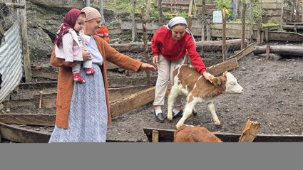 Artvinli besiciye dördüz buzağı sürprizi