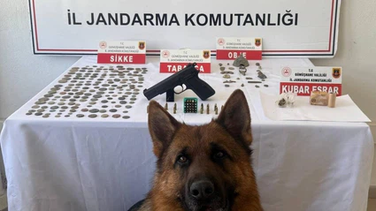 Gümüşhane'de 165 sikke ele geçirildi