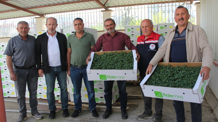 Tokat'ta çiftçilere 49 bin yerli sebze dağıtıldı