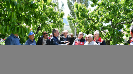 Tokat'ta yaşanan zirai don sonrası toplantı yapıldı