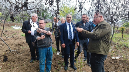 Solmaz: Ceviz Üreticilerinin Mağduriyeti Giderilmeli