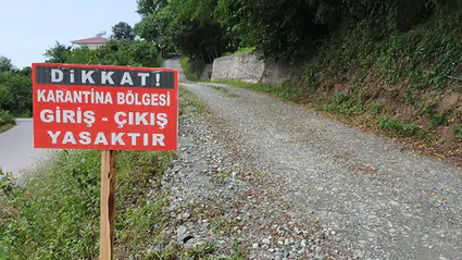 Sungurlu’daki Köyde Şap Karantinası Başlatıldı