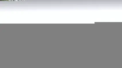 Dal bile almanın uğursuzluk sayılması ormanın korunmasını sağladı