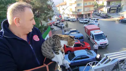 Çatıda Mahsur Kalan Kediyi İtfaiye Kurtardı