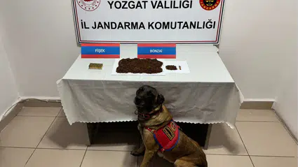 Uyuşturucu Kuryesi Gözaltında