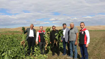 Hasat ve Depolamaya Yerinde İnceleme