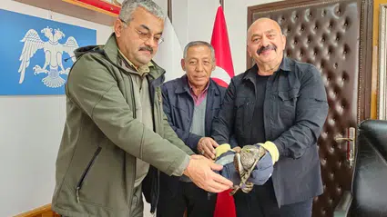 Yaralı Atmaca’ya Yardım Eli