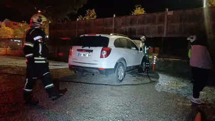 Park Halindeki Cipi Küle Dönmekten İtfaiye Kurtardı