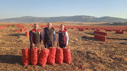 Soğan Üreticilerinin Sorunları Gündemde