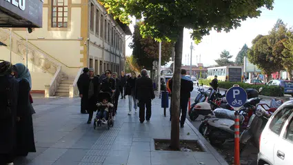 Çorum’da Böcek İstilası Alarmı!