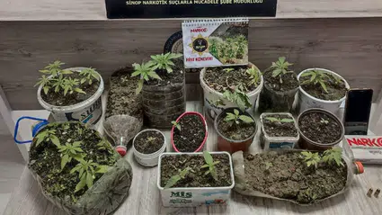 Sinop'ta uyuşturucu operasyonunda yakalanan zanlı tutuklandı