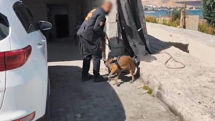 Bitlis’te uyuşturucu operasyonu: 5 kişi tutuklandı