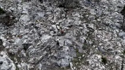 Pozantı’da yaban keçileri görüntülendi