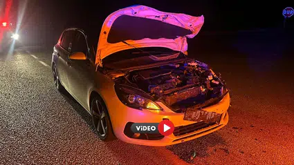 Otomobil Yola Çıkan Danaya Çarptı