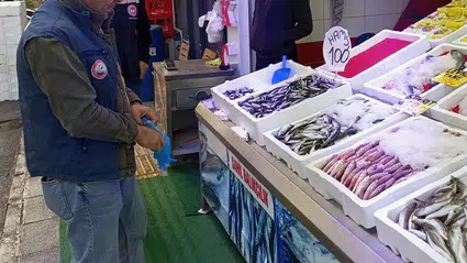 Osmancık’ta Balık Satış Yerlerine Sıkı Denetim