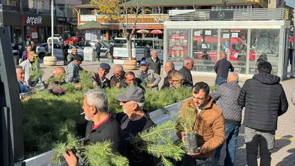 Alaca Belediyesi Fidan Dağıttı