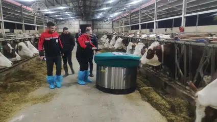 Hayvancılığa ‘Robot’ Eli Değdi