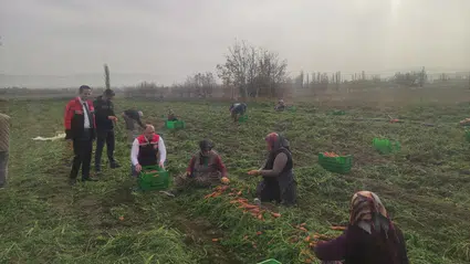 Tarladan Sofraya Sıkı Takip Sürüyor