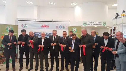 Oğuzlar Cevizi Üreticilerle Buluşuyor