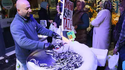 Fiyat Düştü, Talep Arttı