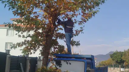 Osmancık'ta Park ve Caddelerde Düzenleme Çalışması