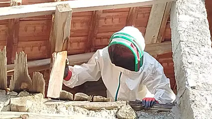 Evin Çatısına Yuva Yapan Eşek Arıları Hastanelik Etti