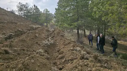 55 Dönümlük ‘Bal Ormanı’ Kuruluyor