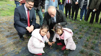 Eskişehir safran üretiminde birincilik yolunda