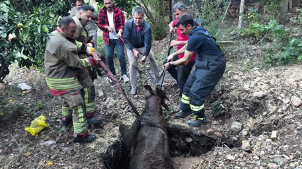 Kuyuya düşen ineği itfaiye kurtardı