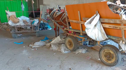 Manisa’da at arabası operasyonu: İki at arabası trafikten men edildi