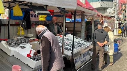 Zonguldak’ta hamsi azaldı, fiyatlar yeniden yükselişte