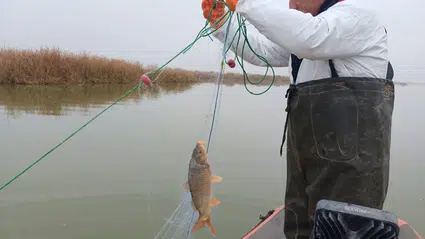 Çorum Barajlarında Doğal Yaşama Sıkı Koruma