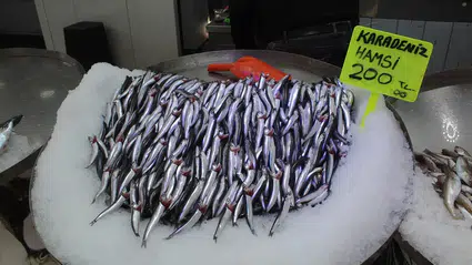 Tezgahlarda Hamsi Bereketi