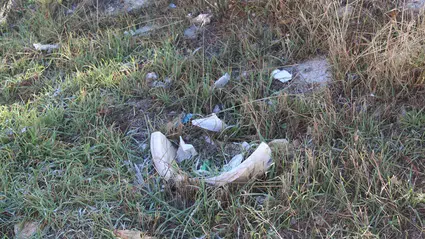 Gelecek Çöpe Atılıyor