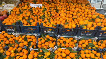 C Vitamini Deposu Tezgahlarda