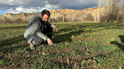 Hububat Tarlaları Mercek Altında