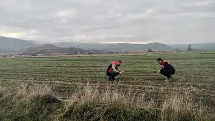 Osmancık’ta Hububat Alanları Teknik İncelemeye Alındı