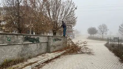 Osmancık’ta Kış Öncesi Park ve Bahçe Bakımı
