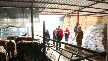 Hayvancılığında Verimlilik ve İş Birliği Odaklı Ziyaret