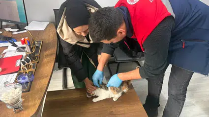 Hem Patiler Hem Gıda Takipte