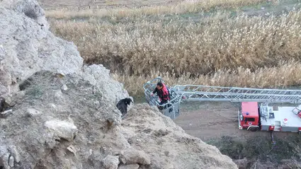 Uçurumda Mahsur Kalan Keçileri İtfaiye Kurtardı