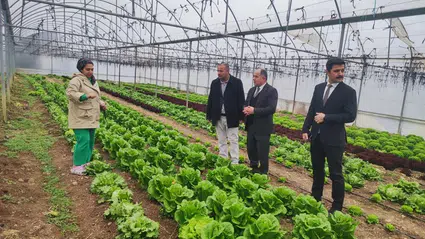 Laçin’de Modern Tarım Hamlesi