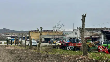 Çınarlar Kesilmedi, Yeni Yerlerine Taşındı