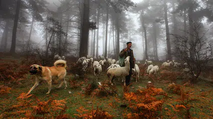 Fotoğraf Yarışması İçin Başvurular Başladı