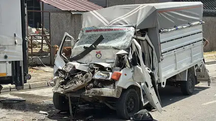 Samsun'da tırla çarpışan canlı hayvan yüklü kamyonetin sürücüsü yaralandı