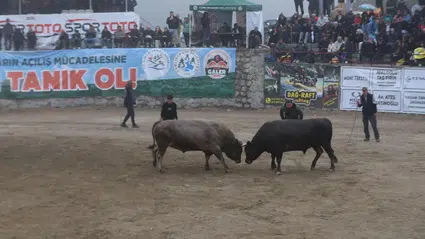Rize'de "29. Çamlıhemşin Ayder Kültür, Sanat ve Doğa Festivali" sona erdi