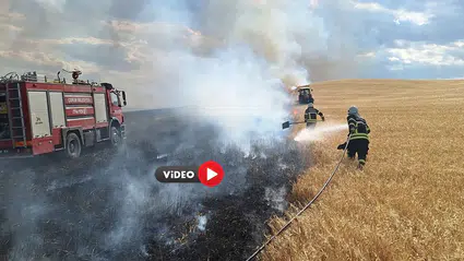 120 Dekar Buğday Tarlası Küle Döndü
