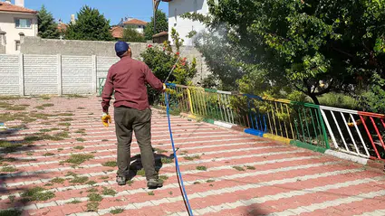 Sivrisinek ve Haşerelere Karşı İlaçlama Çalışmaları