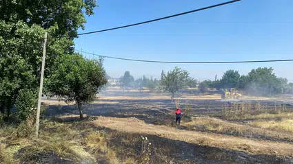 Merzifon’da tarım arazisinde çıkan yangın söndürüldü