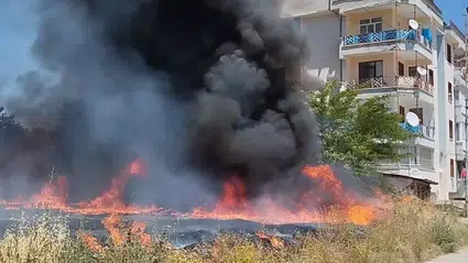 Zile'de çıkan ot yangını söndürüldü